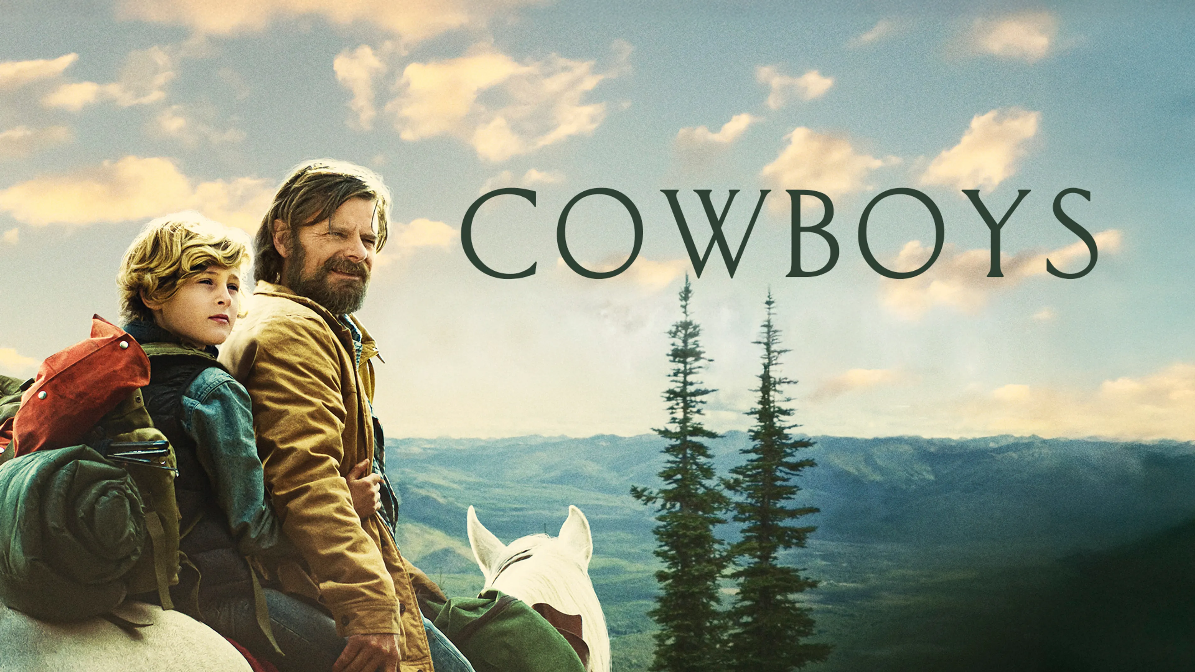 Cowboys poster
